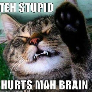 Meet your Posher, Vickie